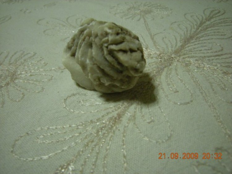 Alçı